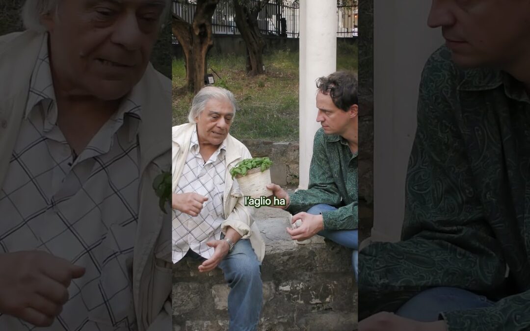 Il pesto è tradizione, ma anche scienza. Virgilio Pronzati ce lo racconta in genovese